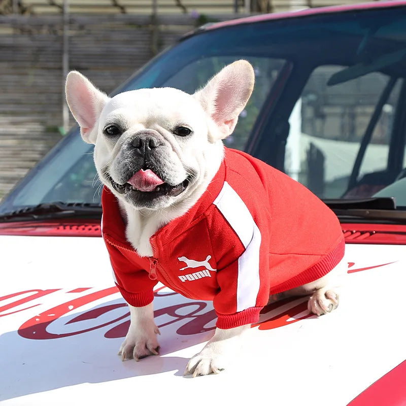 Jaqueta de Beisebol para Cães, ideal para o inverno, destinada a Cães Pequenos e de Médio Porte, como Filhotes, Cães da Raça Bulldog Francês, Chihuahua, Pug, entre outros.