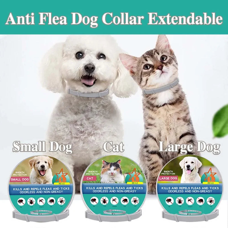 Cães Gatos Colar Antipulgas para Animais de Estimação Colar Antiparasitário Extensível Colar Antipulgas e Carrapatos Colar para Cães Grandes Filhotes Acessórios para Animais de Estimação